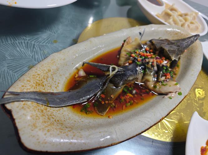 清蒸鱘龍魚圖片真實