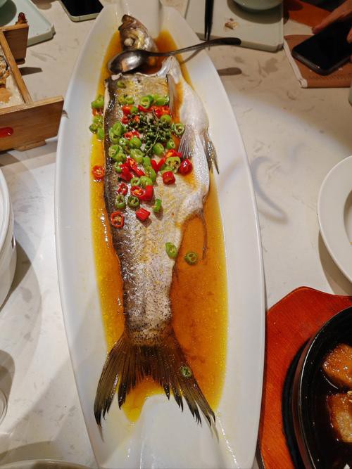 清蒸鱘龍魚圖片真實