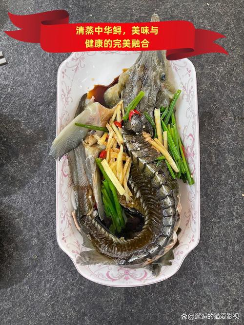 清蒸鱘龍魚圖片真實