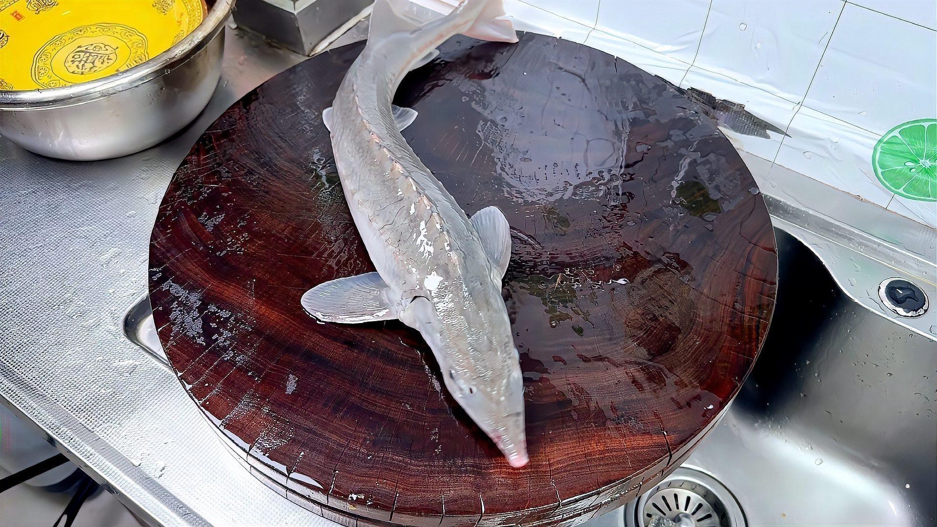 清蒸鱘龍魚圖片真實