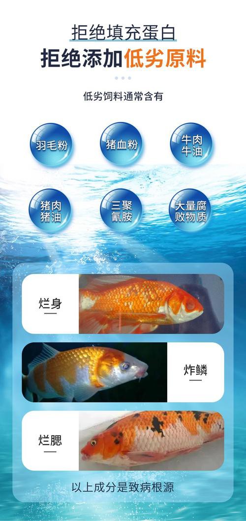 有哪些品牌發色飼料推薦？