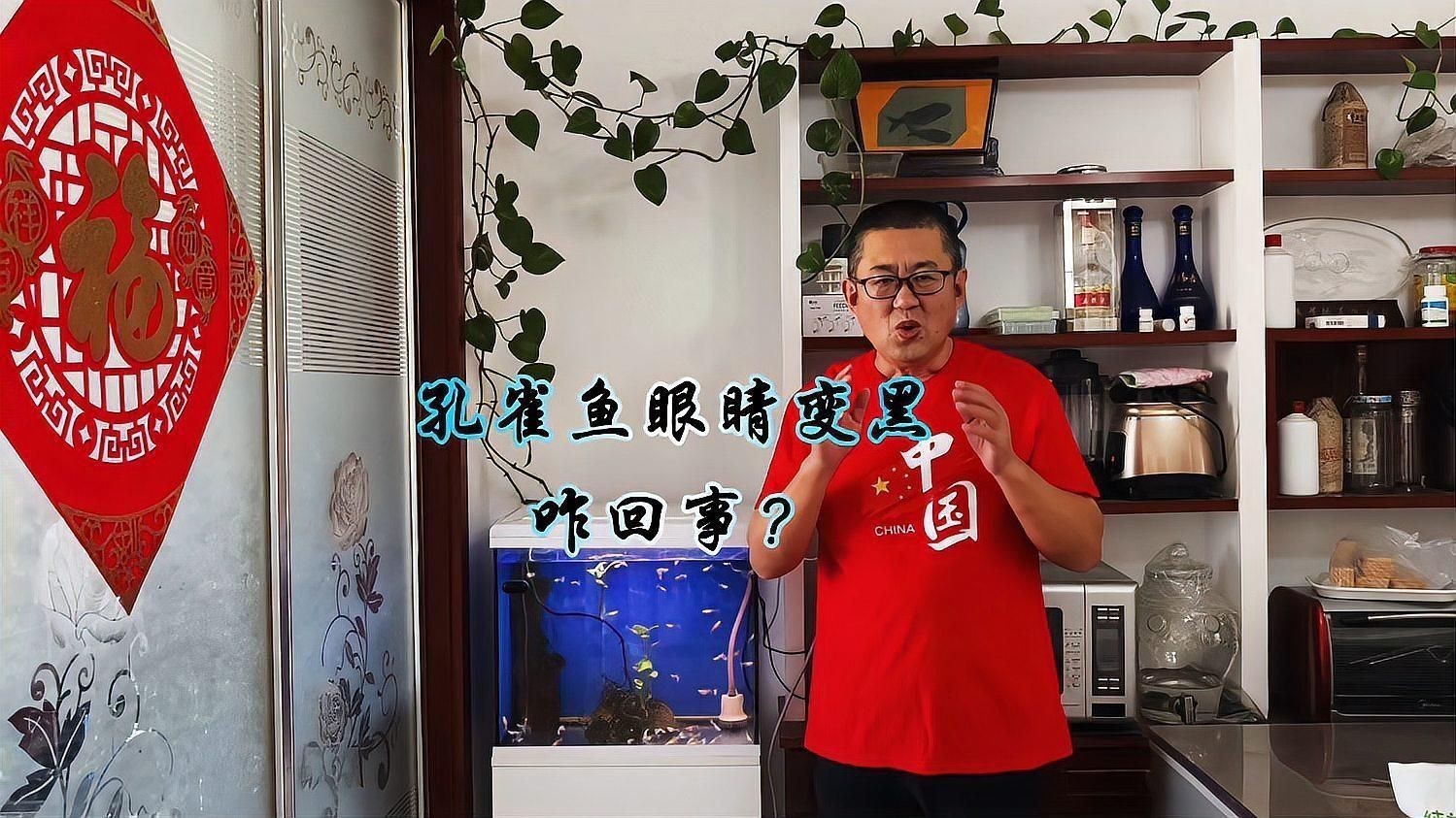 孔雀魚眼睛全黑正常嗎