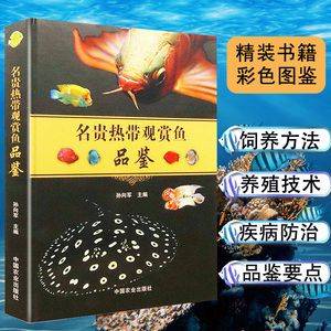 金龍魚花好養嗎：金龍魚花養殖難度取決于多個因素，金龍魚花好養嗎