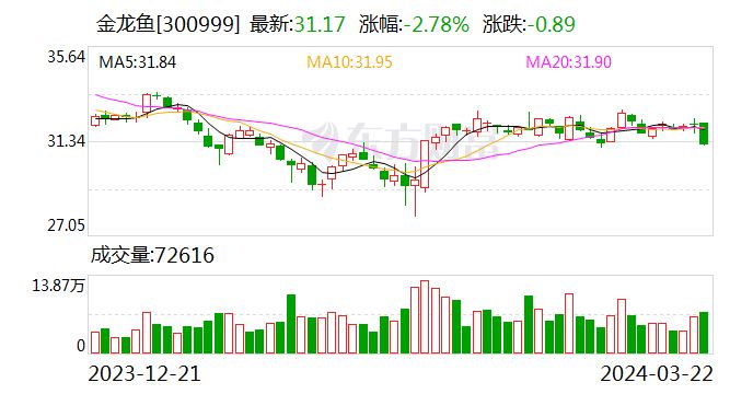 金龍魚價格表2023最新版：10公分金龍魚價格表