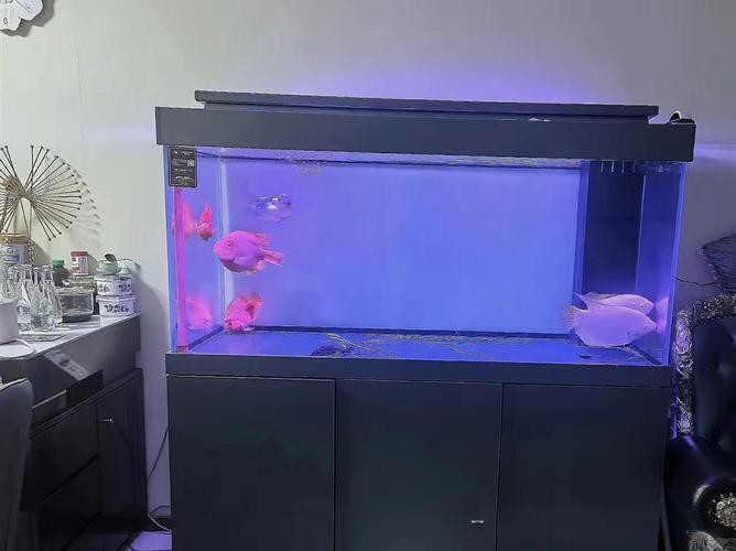 金九龍魚缸安裝圖