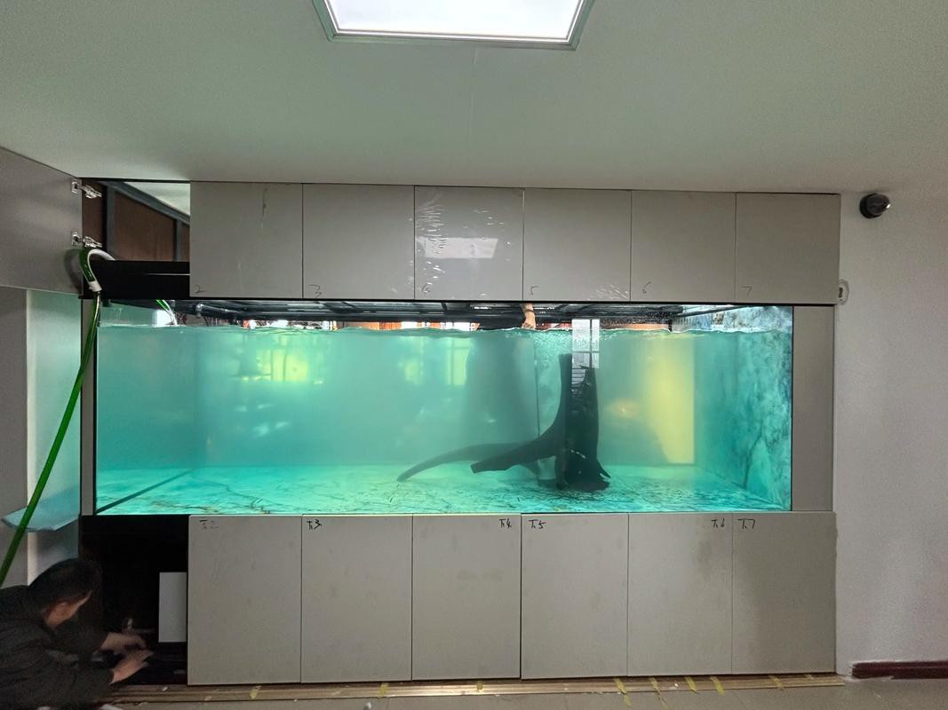 金九龍魚缸安裝圖