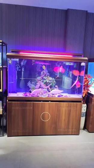 金九龍魚缸安裝圖