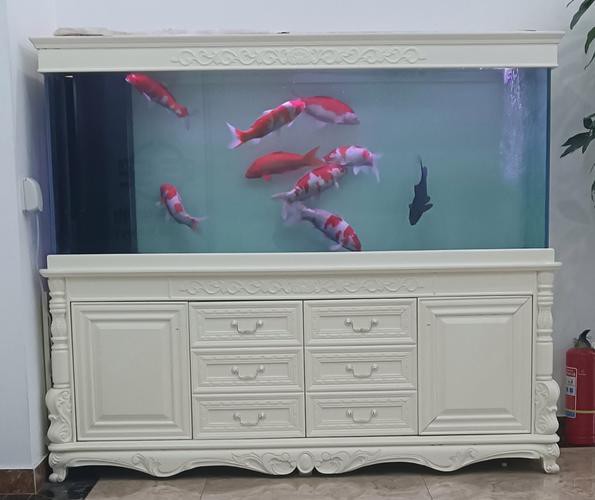 金九龍魚缸安裝圖