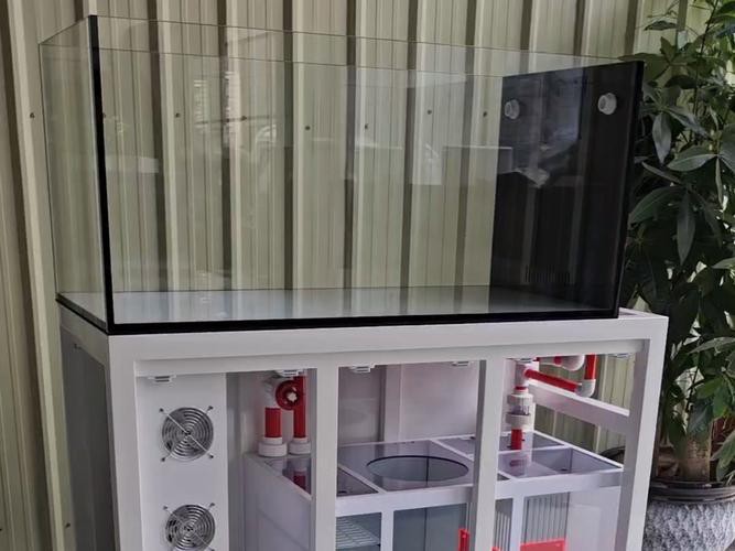 金九龍魚缸安裝圖