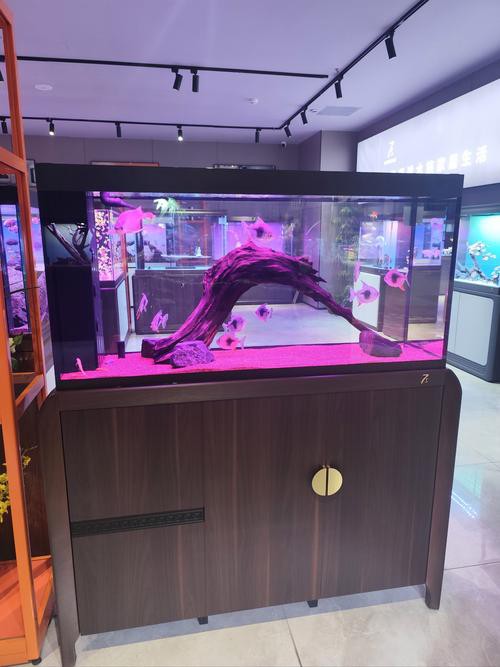 金九龍魚缸安裝圖