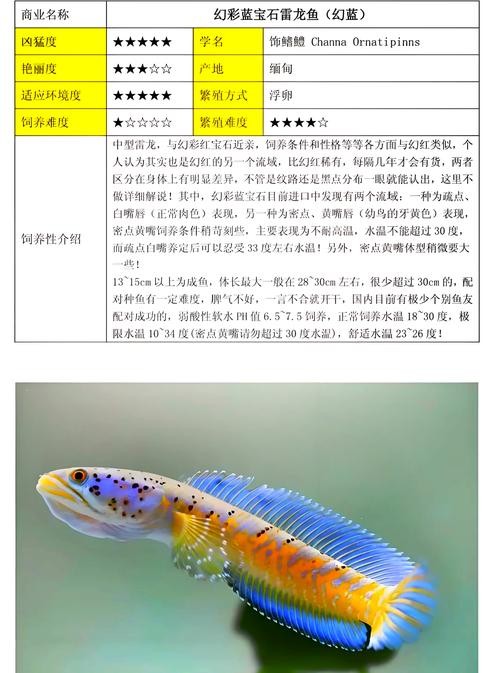 雷龍魚種類圖
