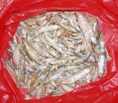 龍魚 飼料 魚干怎么做：在探討龍魚飼料中魚干的做法之前需要明確一點：通常情況下