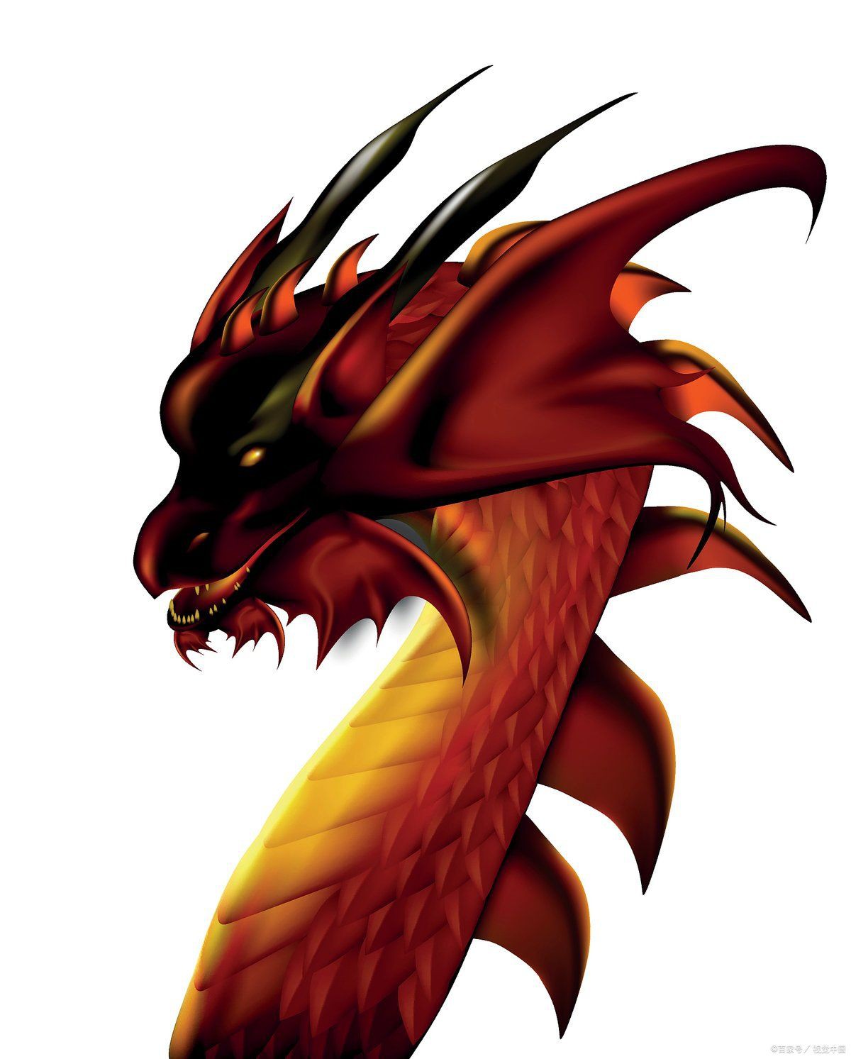 紅龍?jiān)谛W(xué)里代表什么，紅龍?jiān)谛W(xué)中具有多重象征意義，代表權(quán)勢(shì)、高貴與尊榮