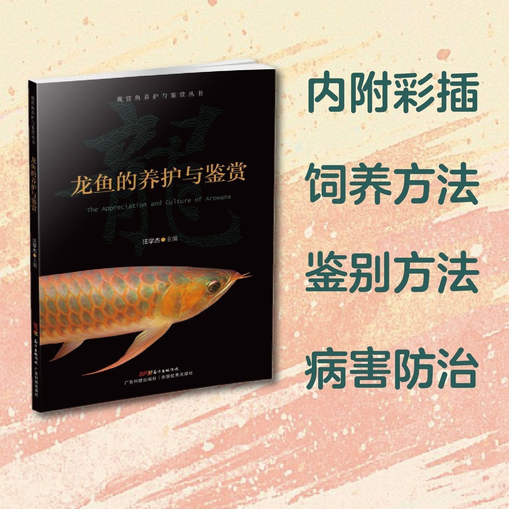 如何鑒別銀龍魚的健康狀況：如何鑒別銀龍魚健康狀況