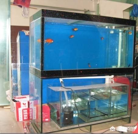 家庭魚缸過濾器要一直開著嗎，家庭魚缸過濾器是否需要一直開啟