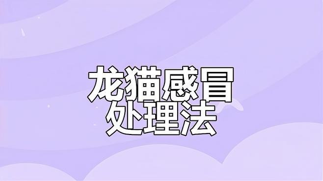 龍貓生病了應該如何處理？