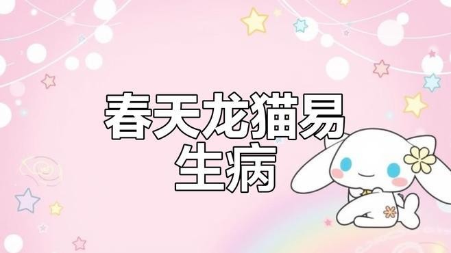 龍貓生病了應該如何處理？