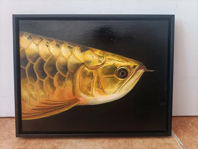 金龍魚背景圖片