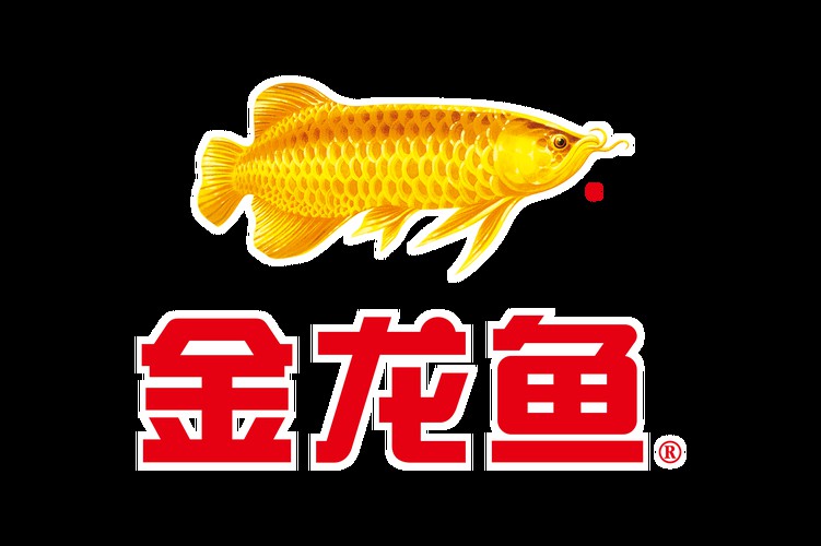 金龍魚背景圖片