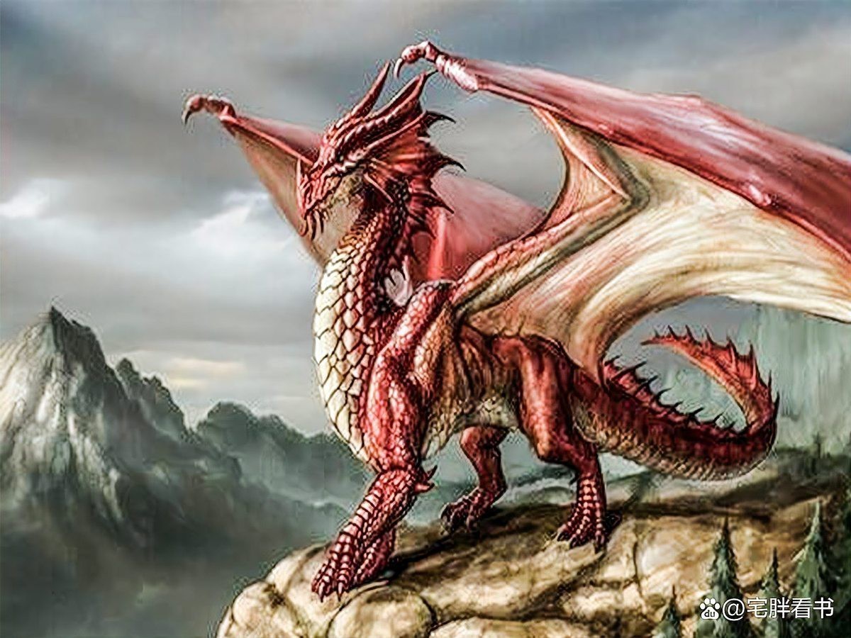 能推薦一些紅龍角色設計書籍嗎？