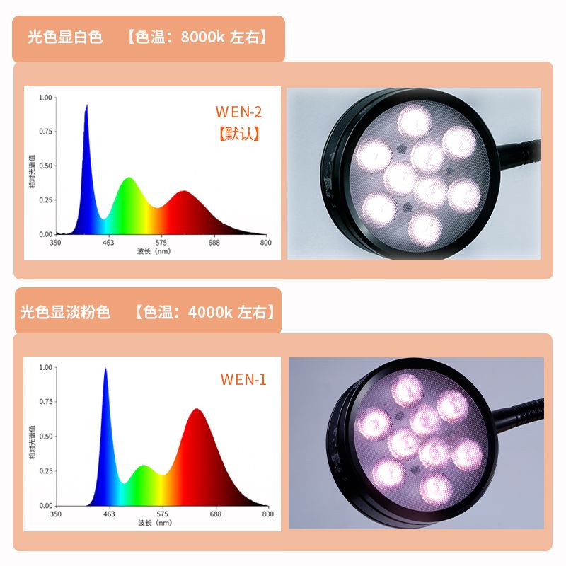 馬來西亞金龍魚和新加坡哪個好養(yǎng)活：馬來西亞金龍魚與新加坡金龍魚，哪個更好養(yǎng)？