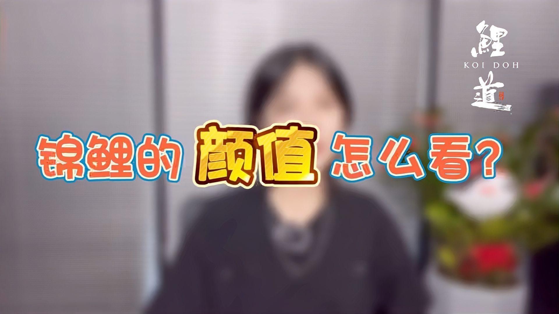 錦鯉一二三段哪個(gè)好