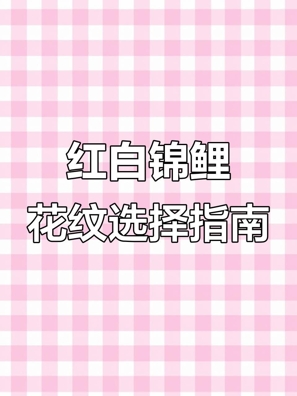 錦鯉一二三段哪個(gè)好