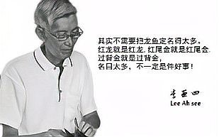 李亞四古典過背金龍魚怎么樣