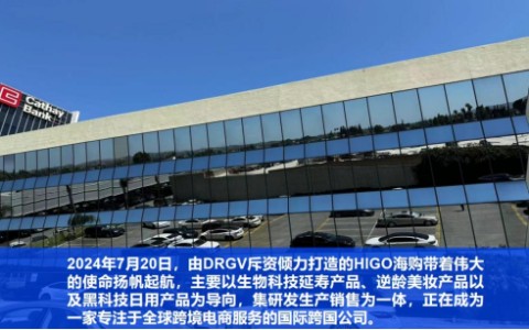 久鼎私域是正規公司嗎