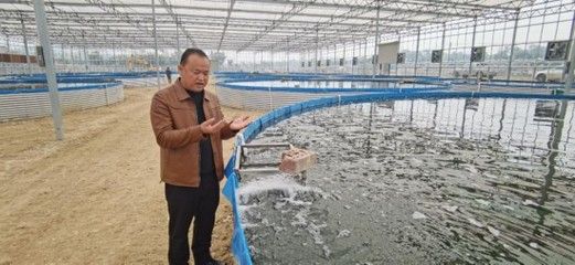 20公分紅龍魚苗怎樣養（如何飼養紅龍魚）