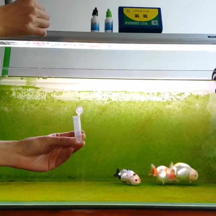 如何檢測龜增色龍魚的水質參數？