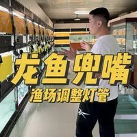 龍魚燈光需要24小時開啟嗎？