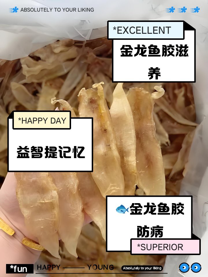 金龍魚膠有什么功效與作用
