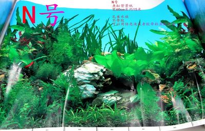 魚缸造型效果圖大全