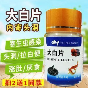 龍魚用藥和普通魚用藥區別在哪：龍魚用藥與普通魚用藥的區別