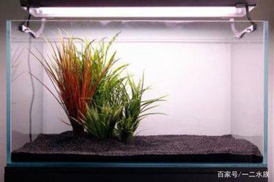 荊州金龍魚體驗館在什么地方啊電話