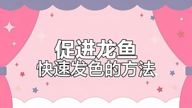 有哪些營養(yǎng)品可以幫助過背藍底金龍魚發(fā)色？