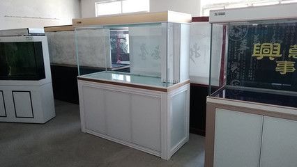 龍魚尾巴爛尾治療方法是什么：如何判斷龍魚是否健康