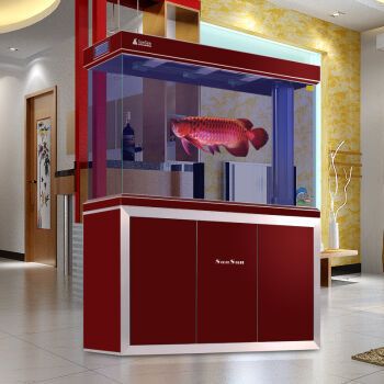 養龍魚買什么牌子的魚缸呢：選擇魚缸品牌時可以參考以下幾個品牌的魚缸品牌 養龍魚買什么牌子的魚缸呢：選擇魚缸品牌時可以參考以下幾個品牌的魚缸品牌 龍魚百科 第3張