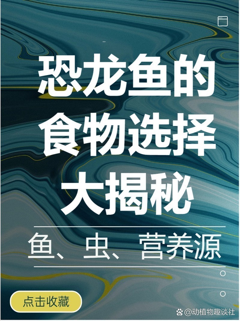九角恐龍魚吃什么長得快