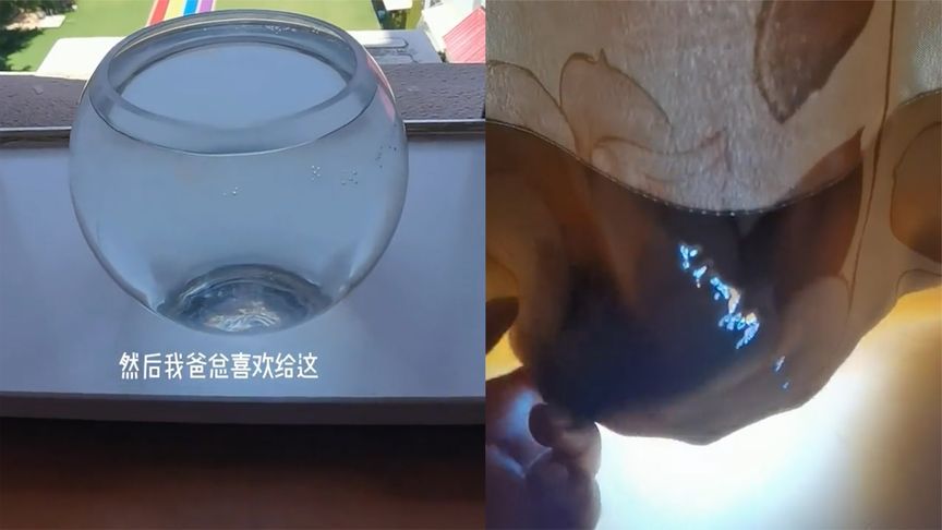 西安魚缸定做祥龍魚場代理店地址（西安觀賞魚市場在哪里-祥龍魚場）