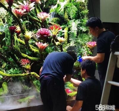 西安魚缸定做祥龍魚場代理店地址（西安觀賞魚市場在哪里-祥龍魚場）