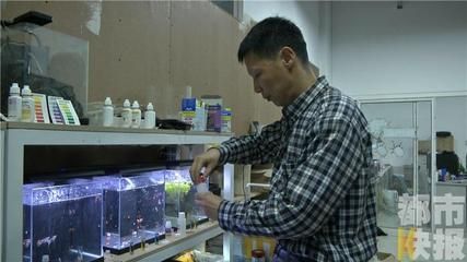 西安魚缸定做祥龍魚場代理店地址（西安觀賞魚市場在哪里-祥龍魚場）