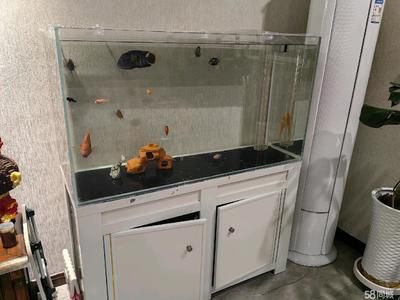 西安魚缸定做祥龍魚場代理店地址（西安觀賞魚市場在哪里-祥龍魚場）