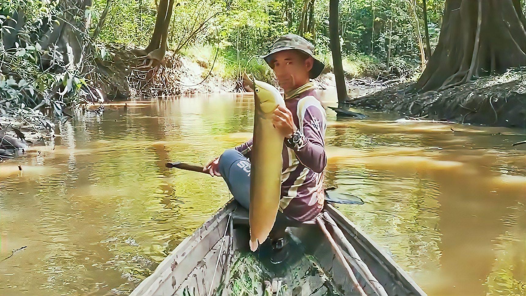 龍魚訓食顆粒飼料怎么喂：龍魚吃顆粒飼料的喂食方法和注意事項和注意事項