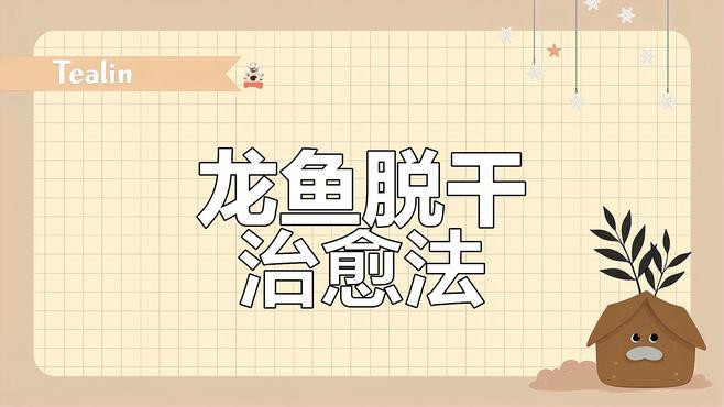 專業龍魚缸高多少：1.2米龍魚缸靜音刷選購指南，打造寧靜水族環境