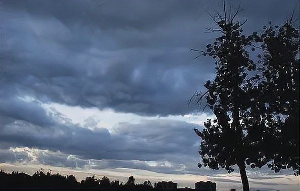 龍分為多少等級