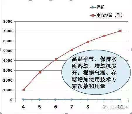 深海紅龍魚做法視頻：紅龍魚做法視頻，從選購到烹飪的完整指南