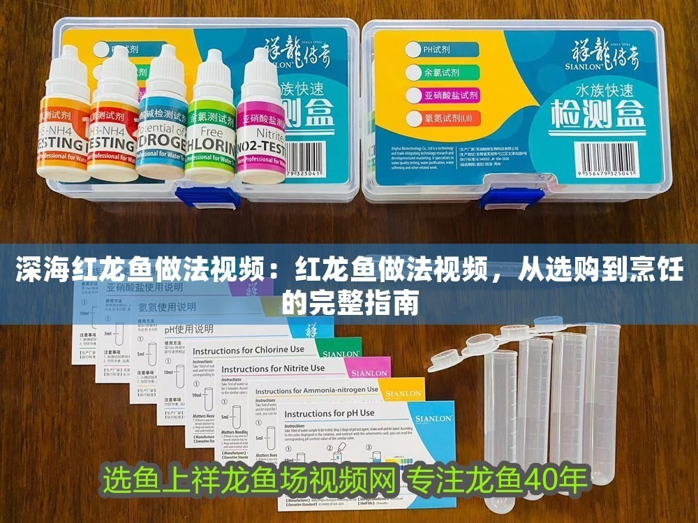 深海紅龍魚做法視頻：紅龍魚做法視頻，從選購到烹飪的完整指南