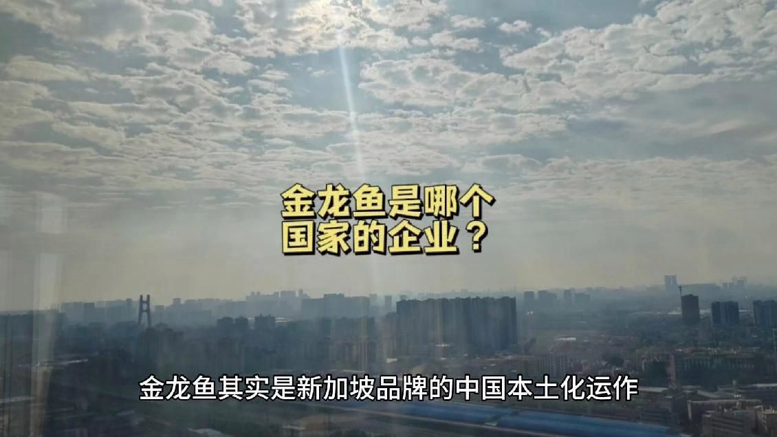 金龍魚公司介紹